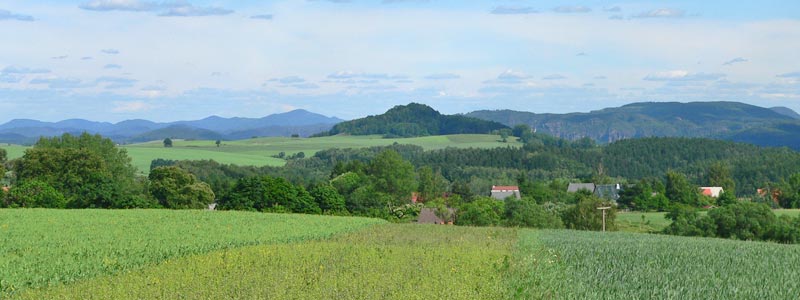 Blick zum Gickelsberg, Hohnstein