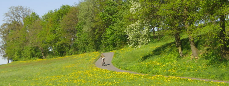 Frühling am Radweg - Oberottendorf